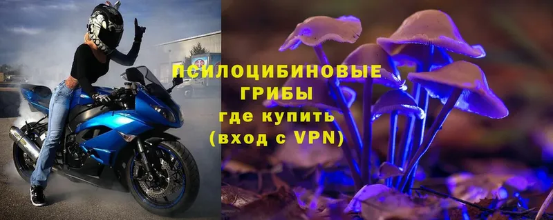 Галлюциногенные грибы Magic Shrooms  Прохладный 